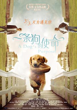 在线播放国产一区